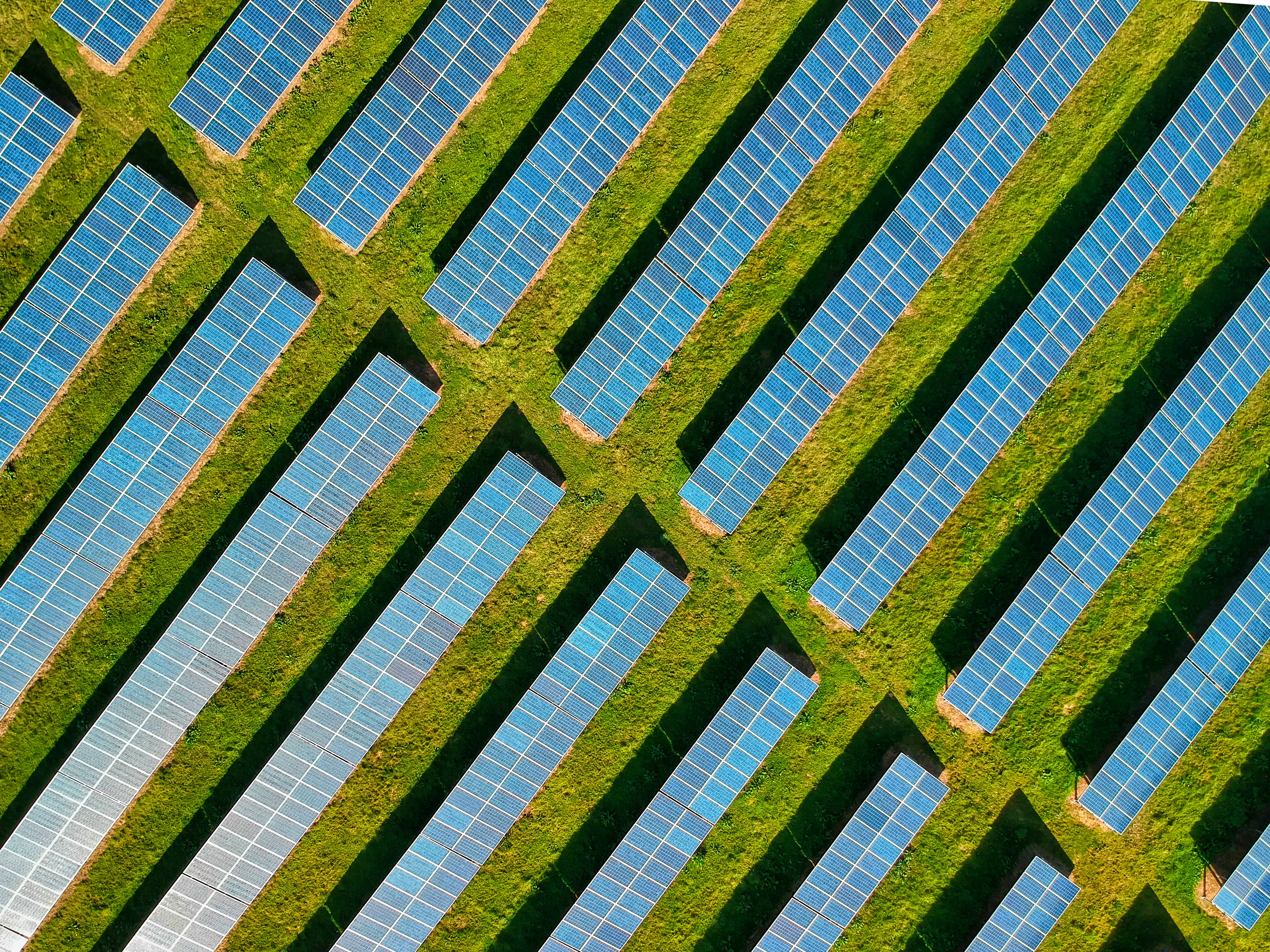 Aerial picture of solar panels